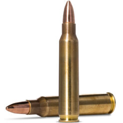 Norma .223 55gr FMJ